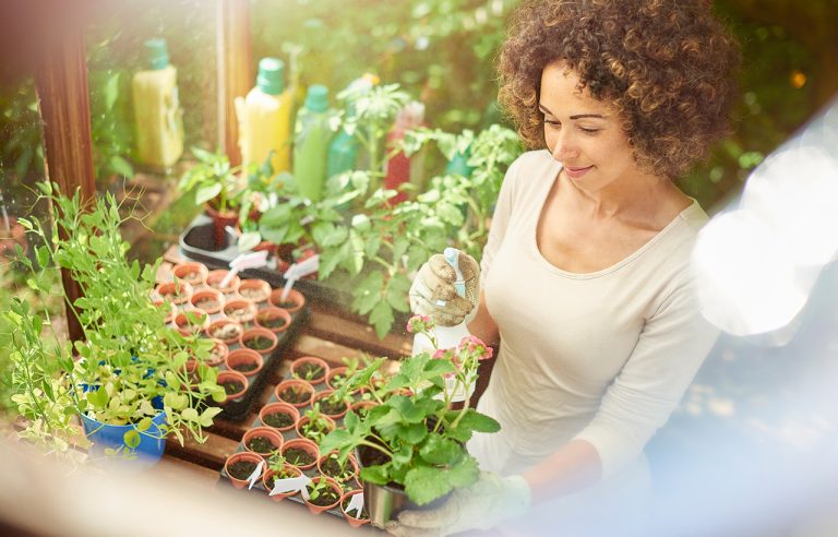 Mulher em meio aos vasos de plantas de sua horta em casa com garrafas de sucos de frutas